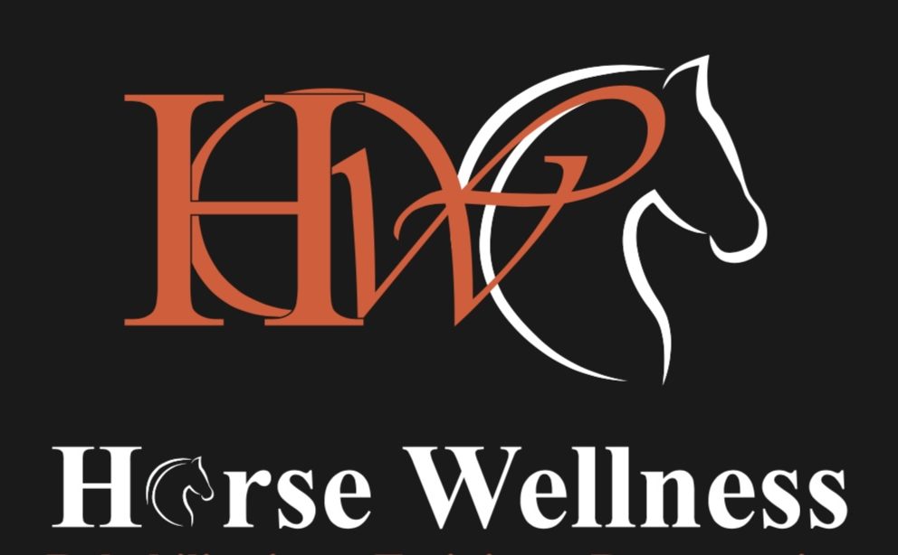 HORSE WELLNESS STABLE